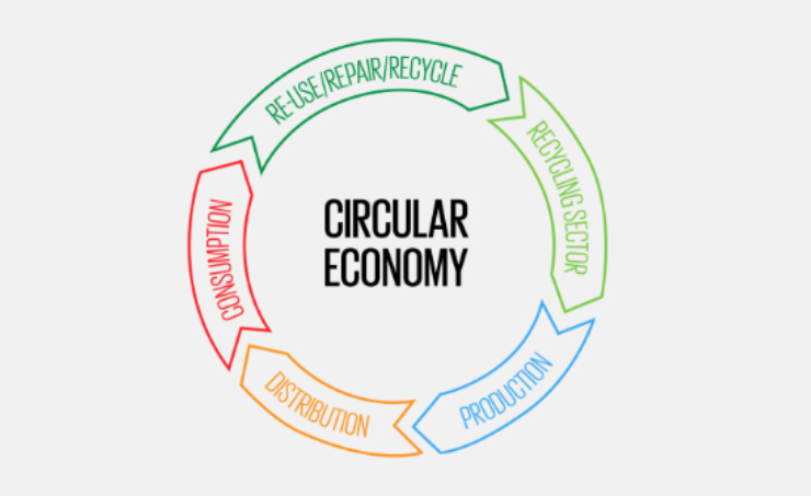 Circular Economy: Genesis, Importance and the Way Forward